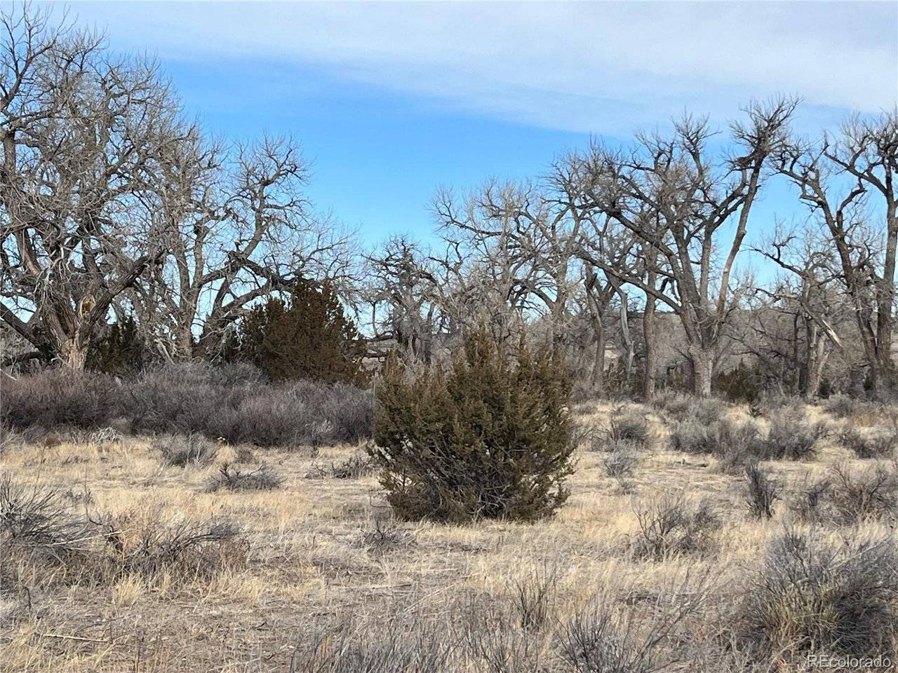 14 Ghost River Ranch, Walsenburg, CO 80189