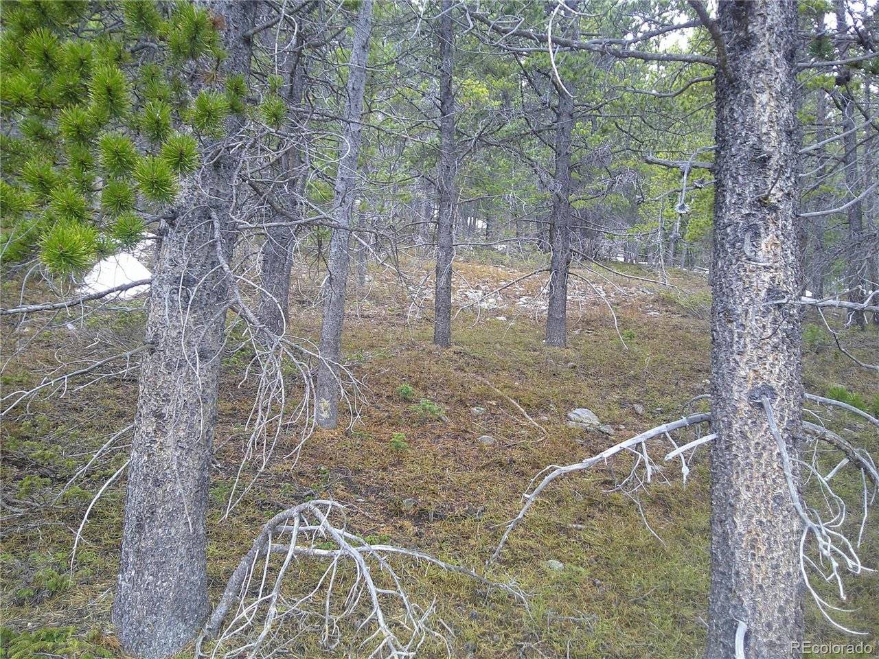 417 Glory Hole, Idaho Springs, CO 80452
