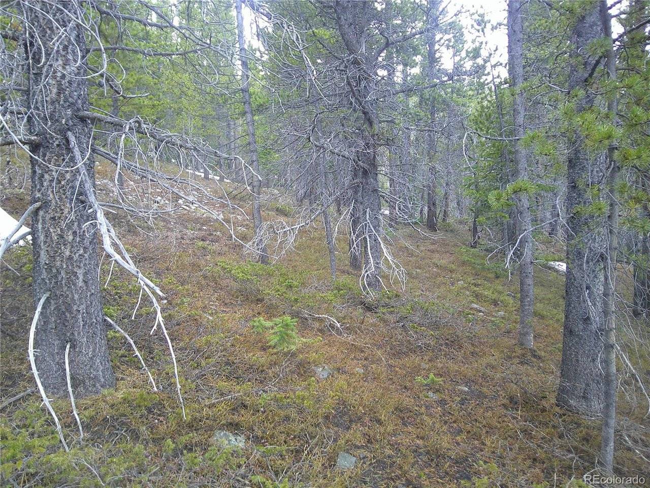 417 Glory Hole, Idaho Springs, CO 80452