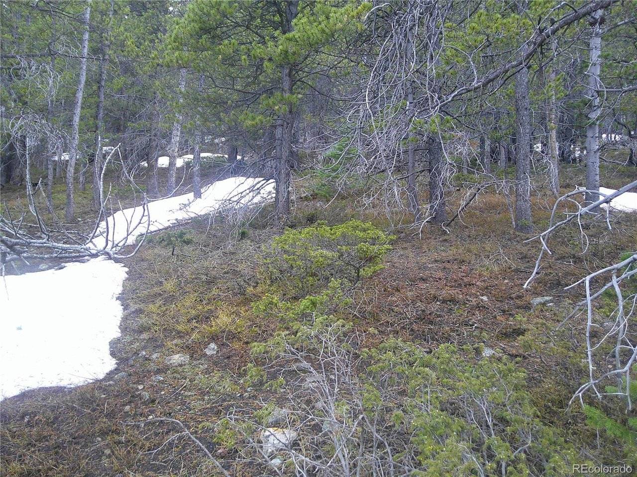 417 Glory Hole, Idaho Springs, CO 80452