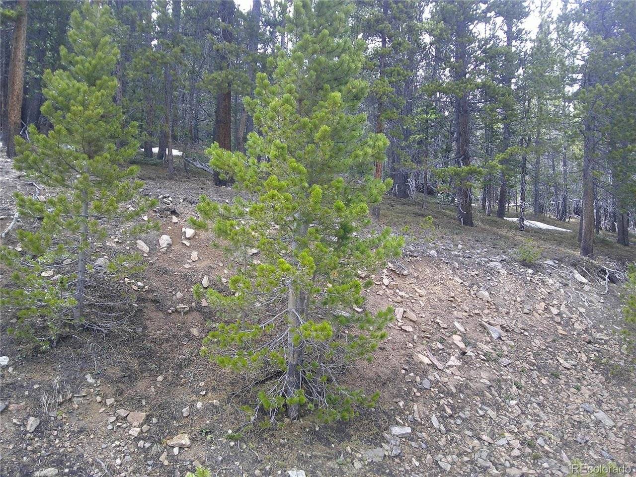 417 Glory Hole, Idaho Springs, CO 80452