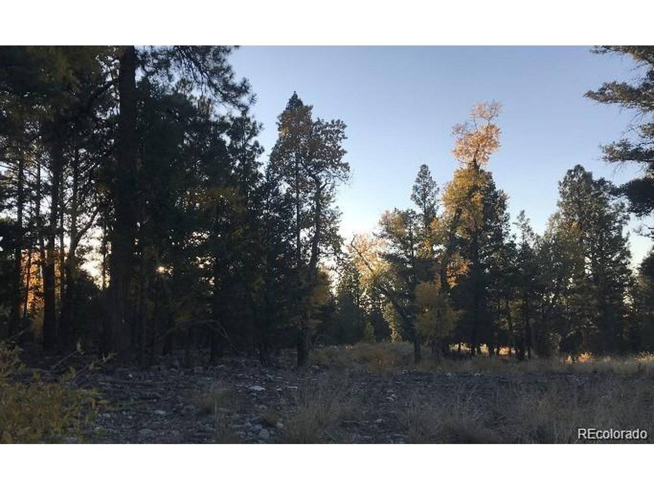 Address not disclosed, Mosca, CO 81146