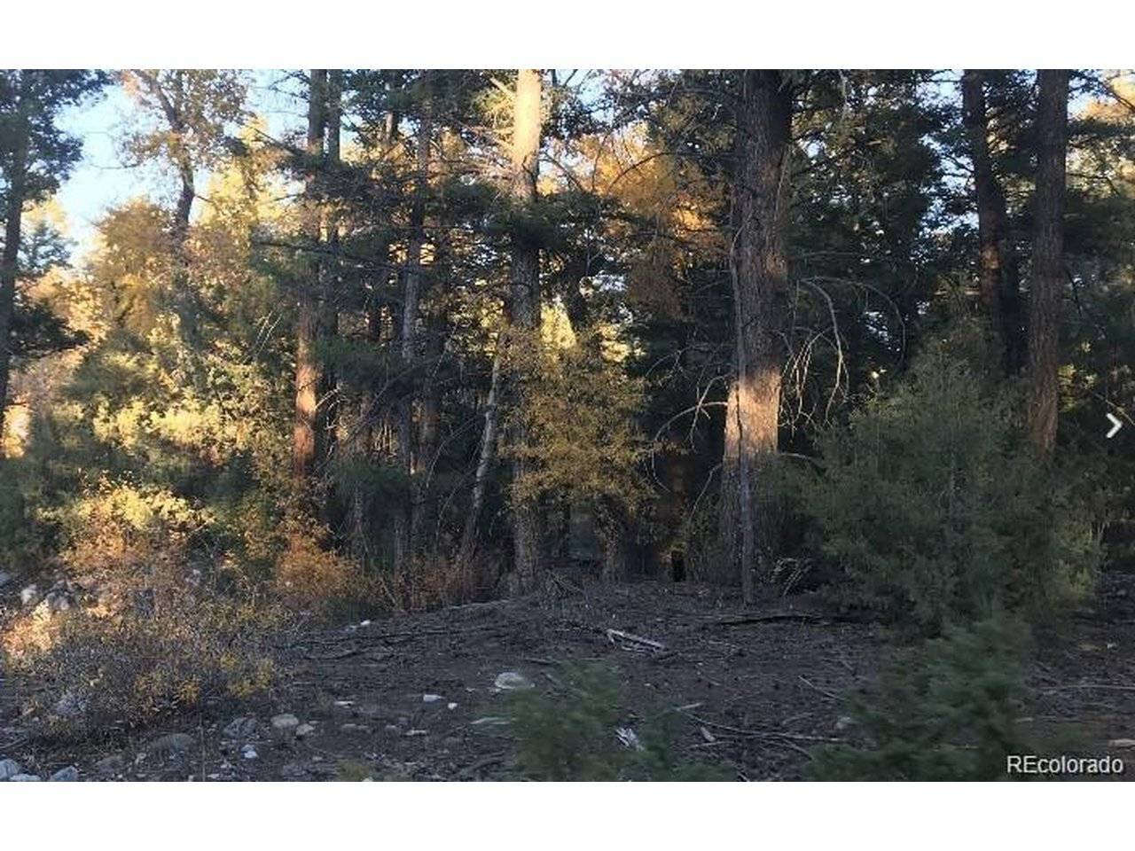Address not disclosed, Mosca, CO 81146