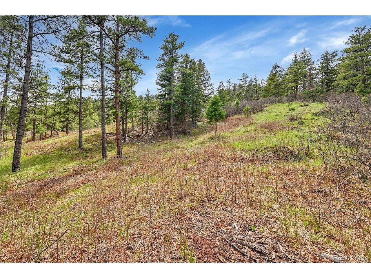 8093 Acoma, Larkspur, CO 80118