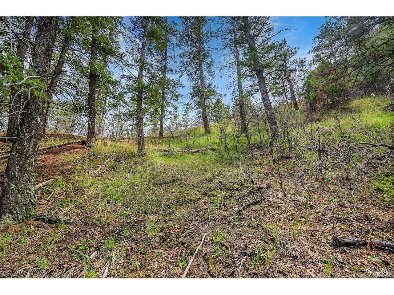 8093 Acoma, Larkspur, CO 80118