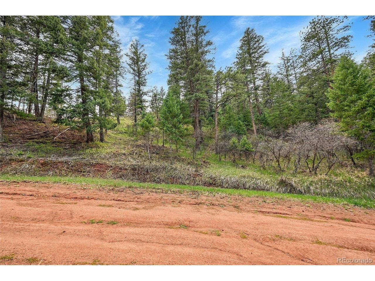 8093 Acoma, Larkspur, CO 80118