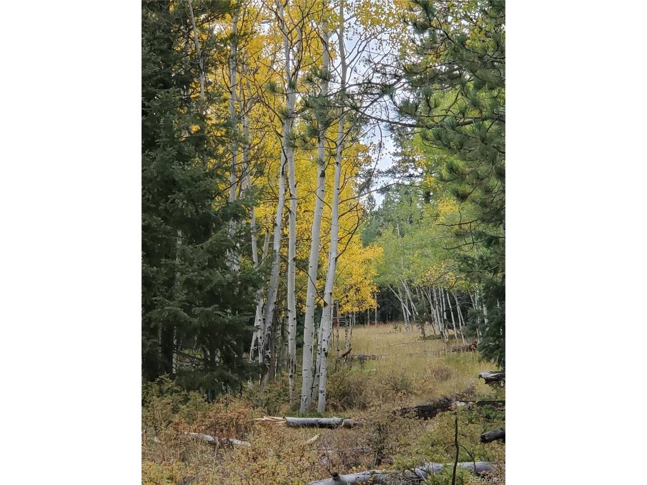 0 Rampart Range, Sedalia, CO 80135