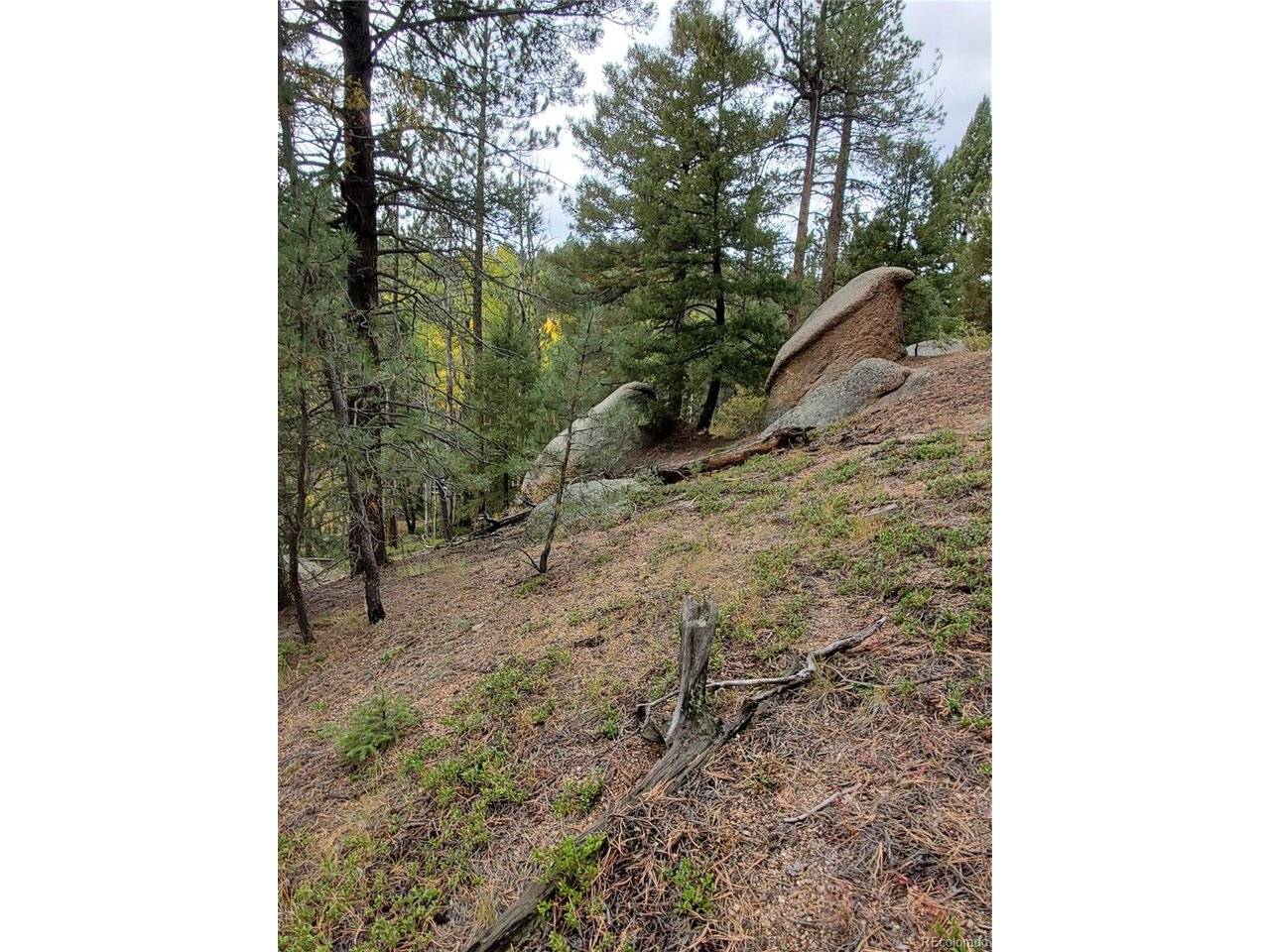 0 Rampart Range, Sedalia, CO 80135