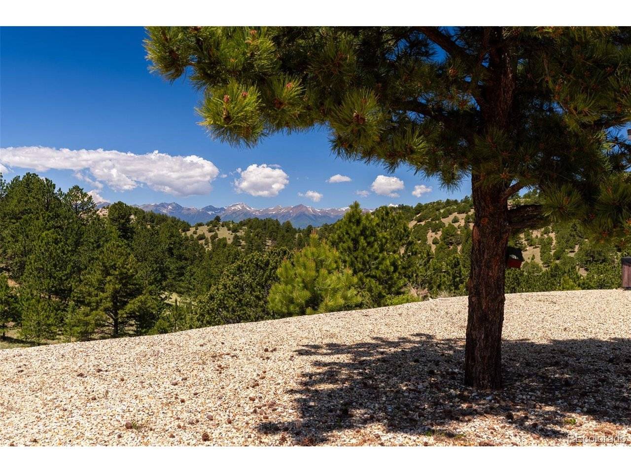 333 Della Fox, Westcliffe, CO 81252