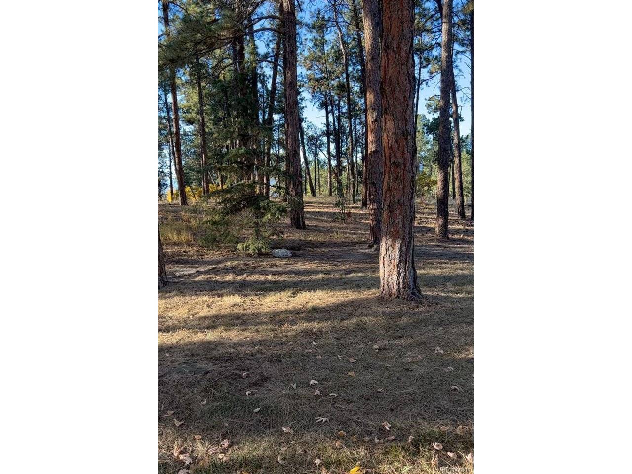 Rancho Escondido Lot 23C, Weston, CO 81091