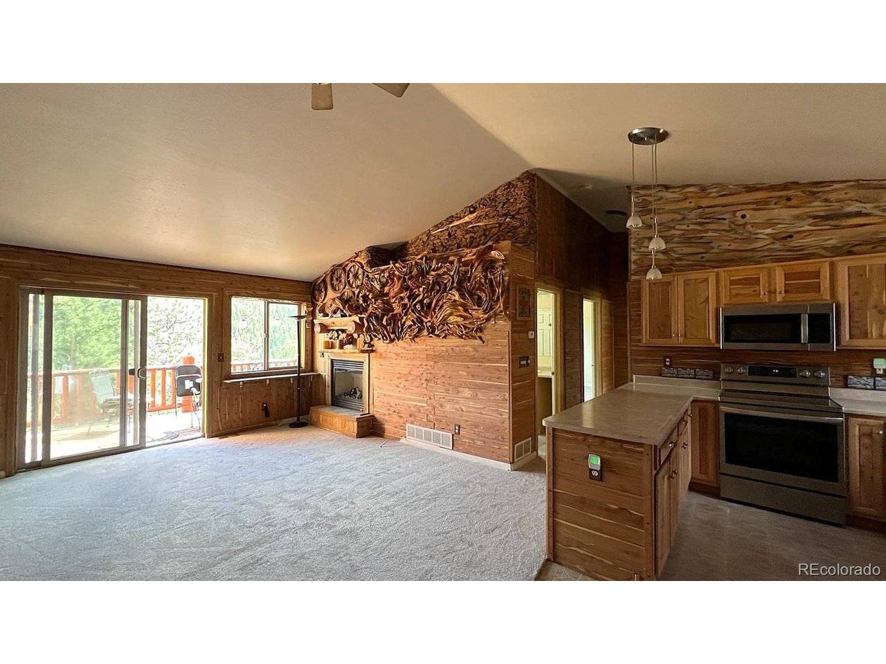 303 Virginia #E, Bailey, CO 80421