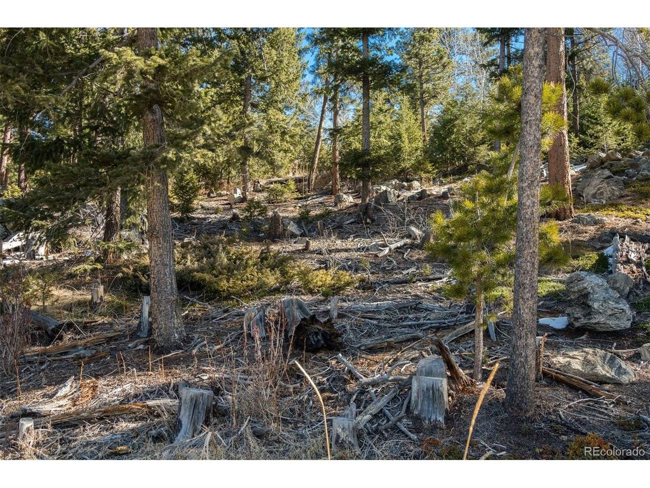 Granite Crag, Evergreen, CO 80439