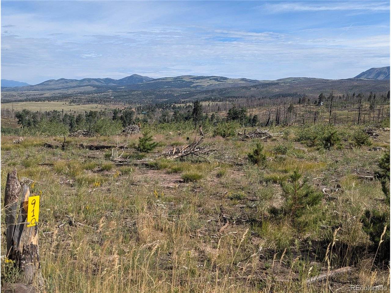 910 Ueda, Fort Garland, CO 81133