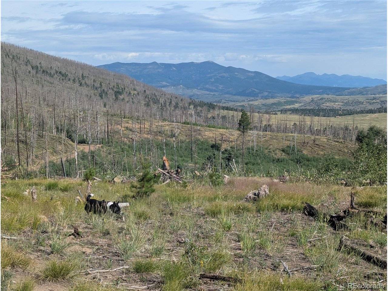 910 Ueda, Fort Garland, CO 81133