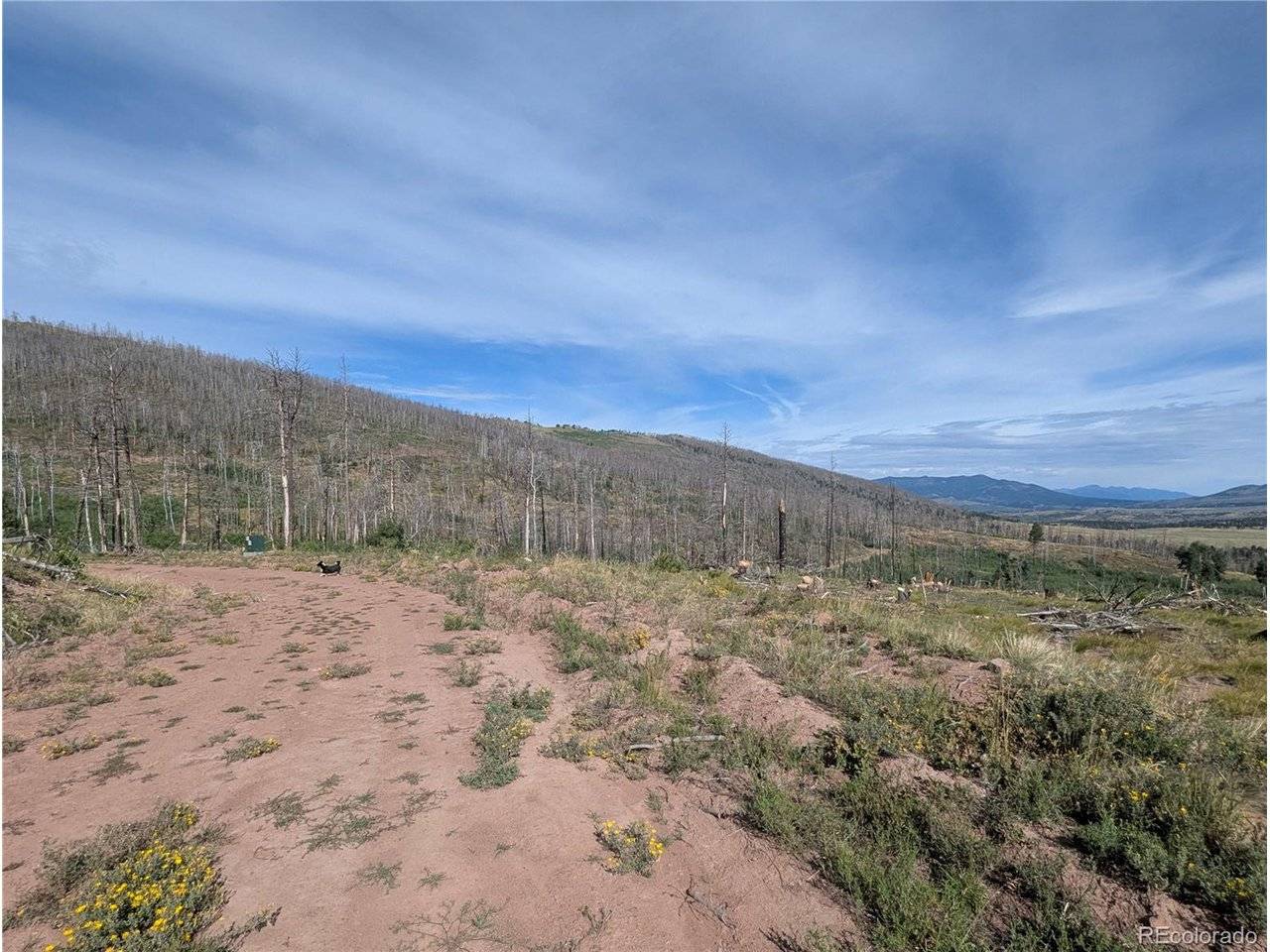 910 Ueda, Fort Garland, CO 81133