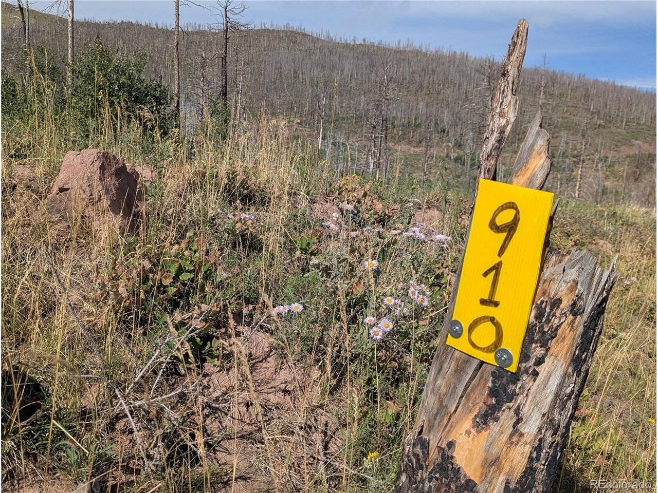 910 Ueda, Fort Garland, CO 81133