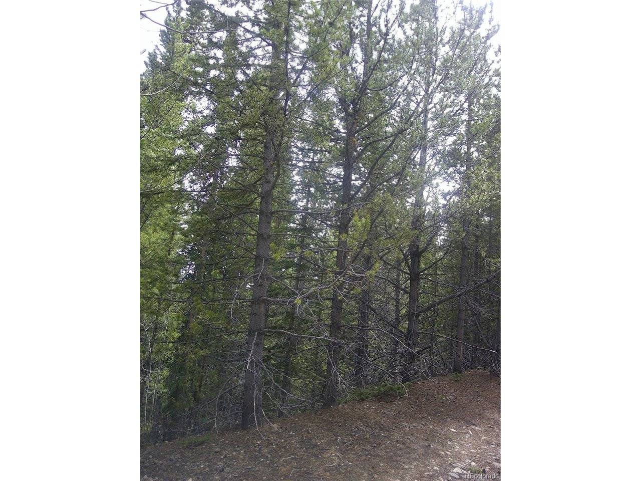 440 Hillside, Idaho Springs, CO 80452