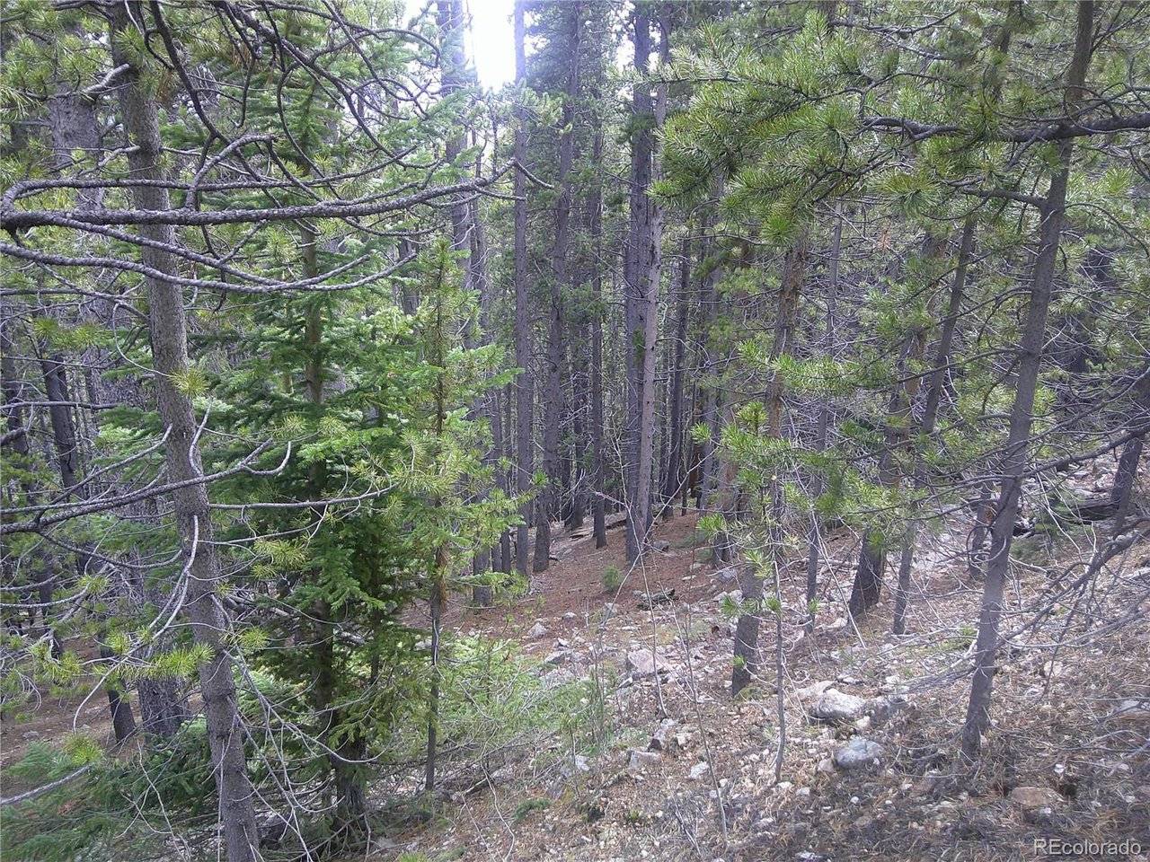 440 Hillside, Idaho Springs, CO 80452