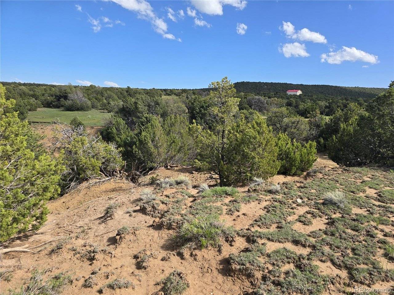 90 River Ridge Ranch, Walsenburg, CO 81089