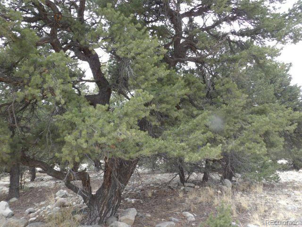 3730 Cordial, Crestone, CO 81131