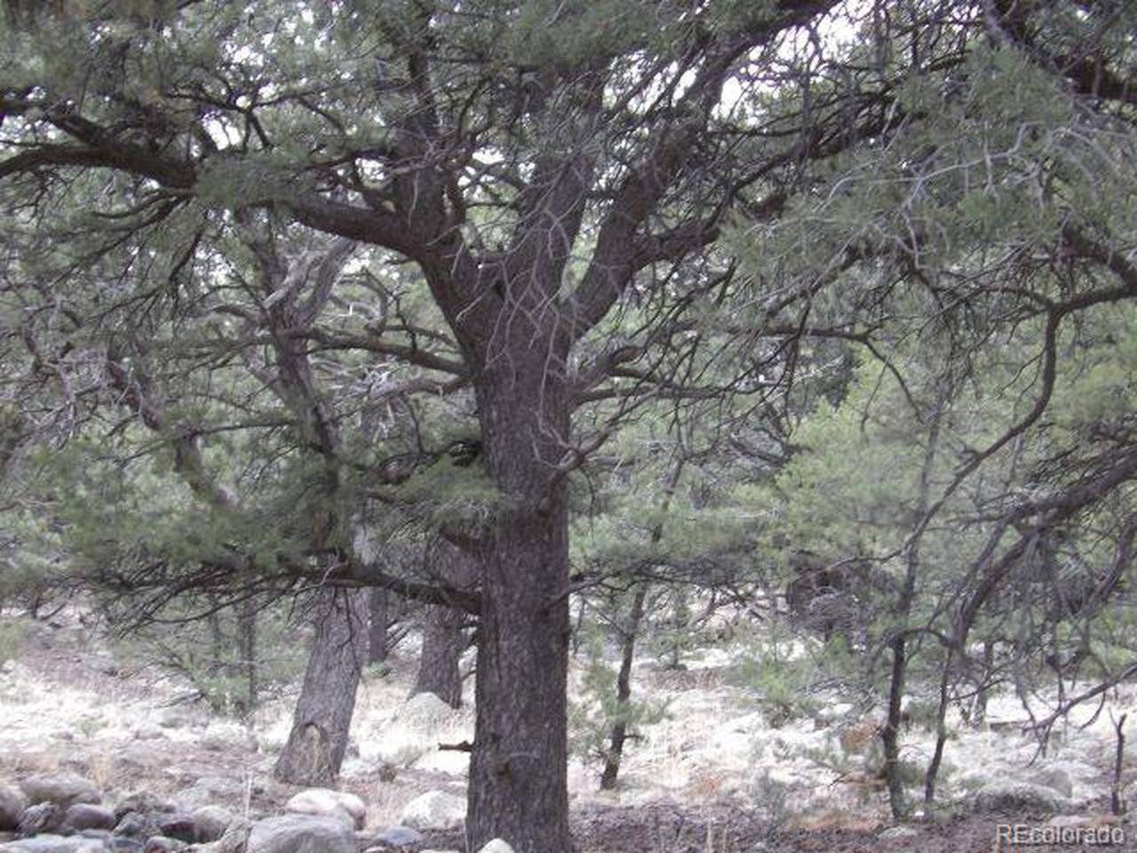 3730 Cordial, Crestone, CO 81131