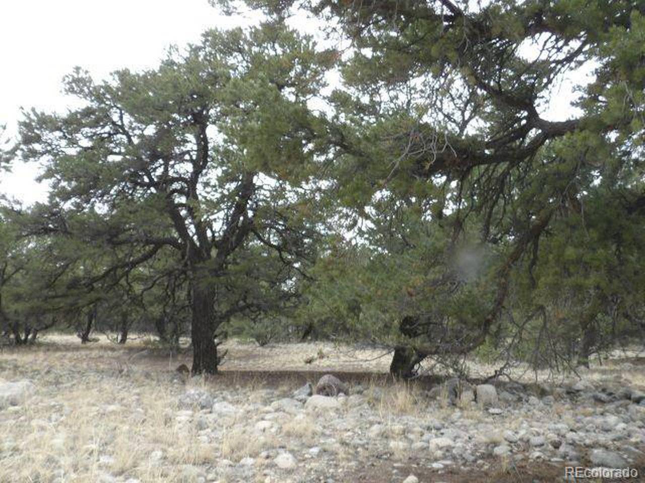 3730 Cordial, Crestone, CO 81131