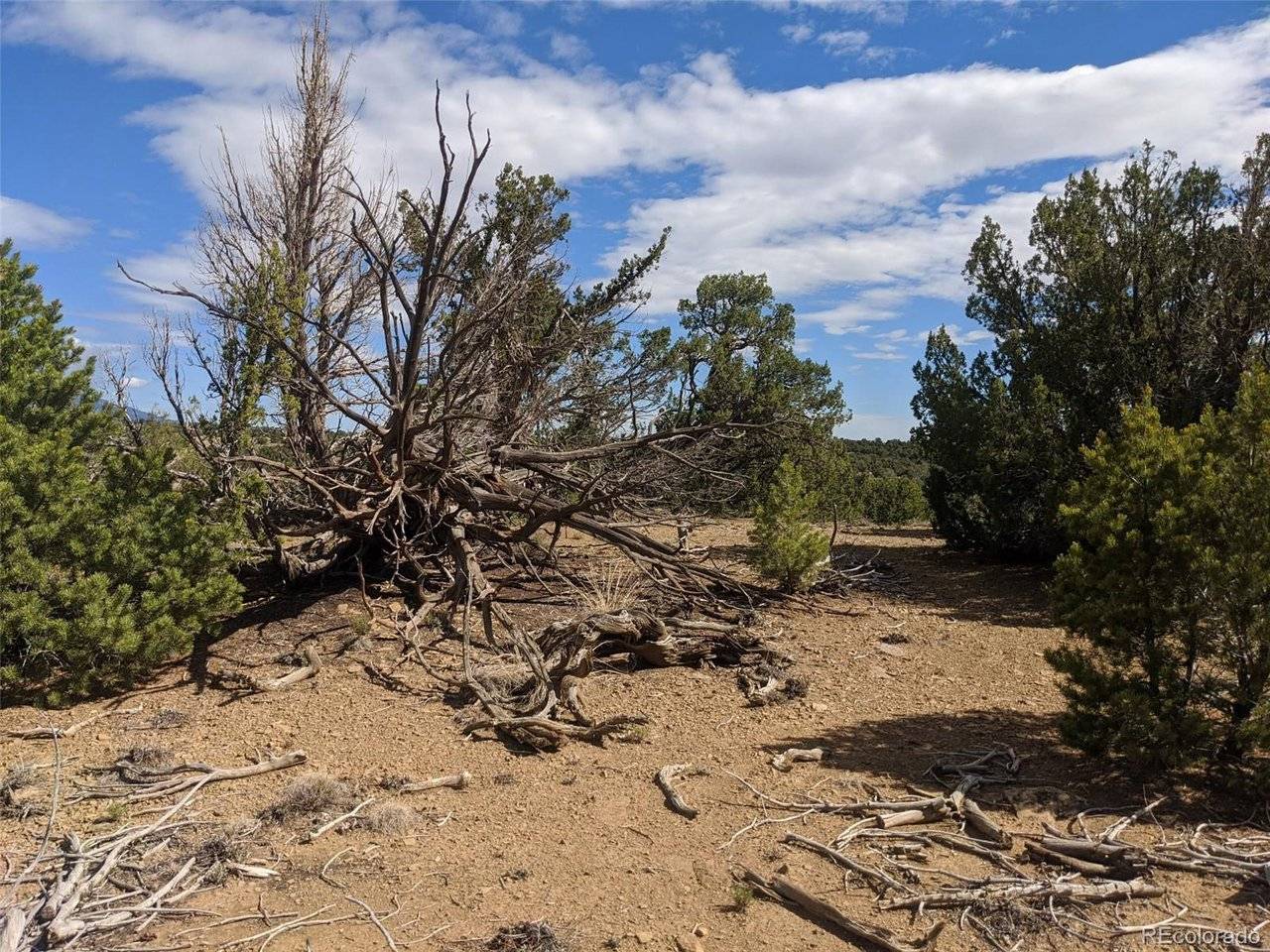 623 Cello Azui, Walsenburg, CO 81089