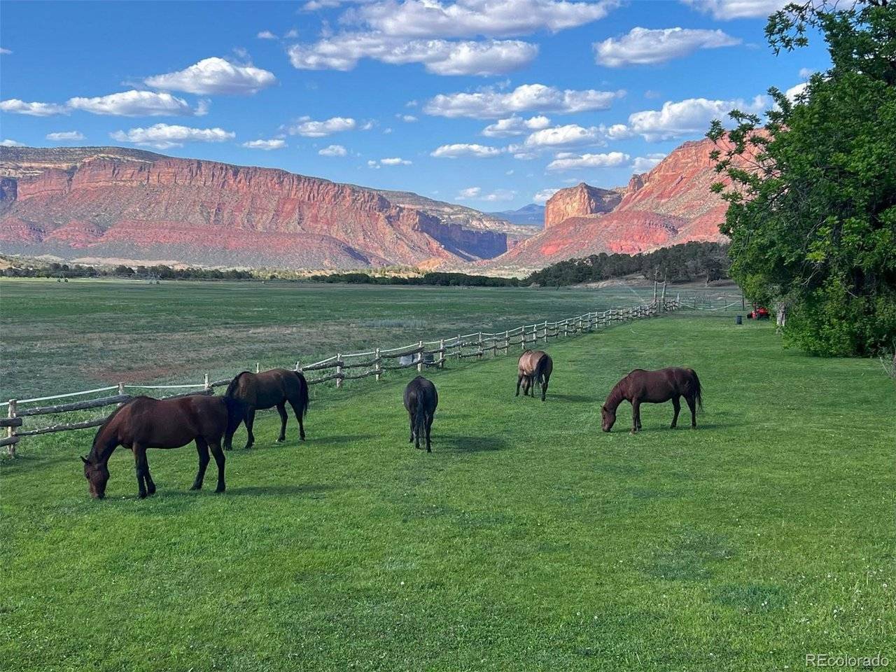 Address not disclosed, Gateway, CO 81522