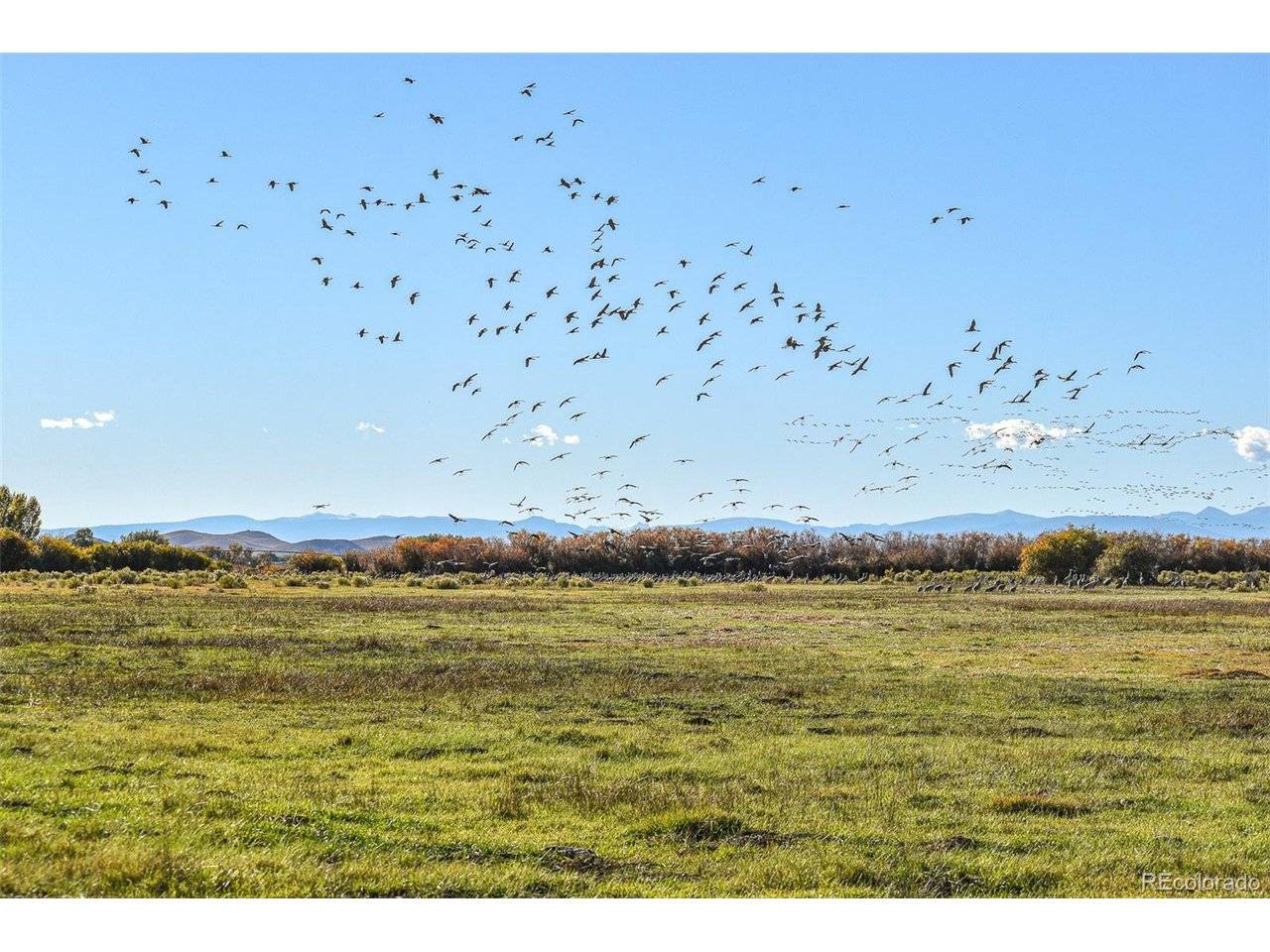 0 County Road 15.5, Blanca, CO 81123