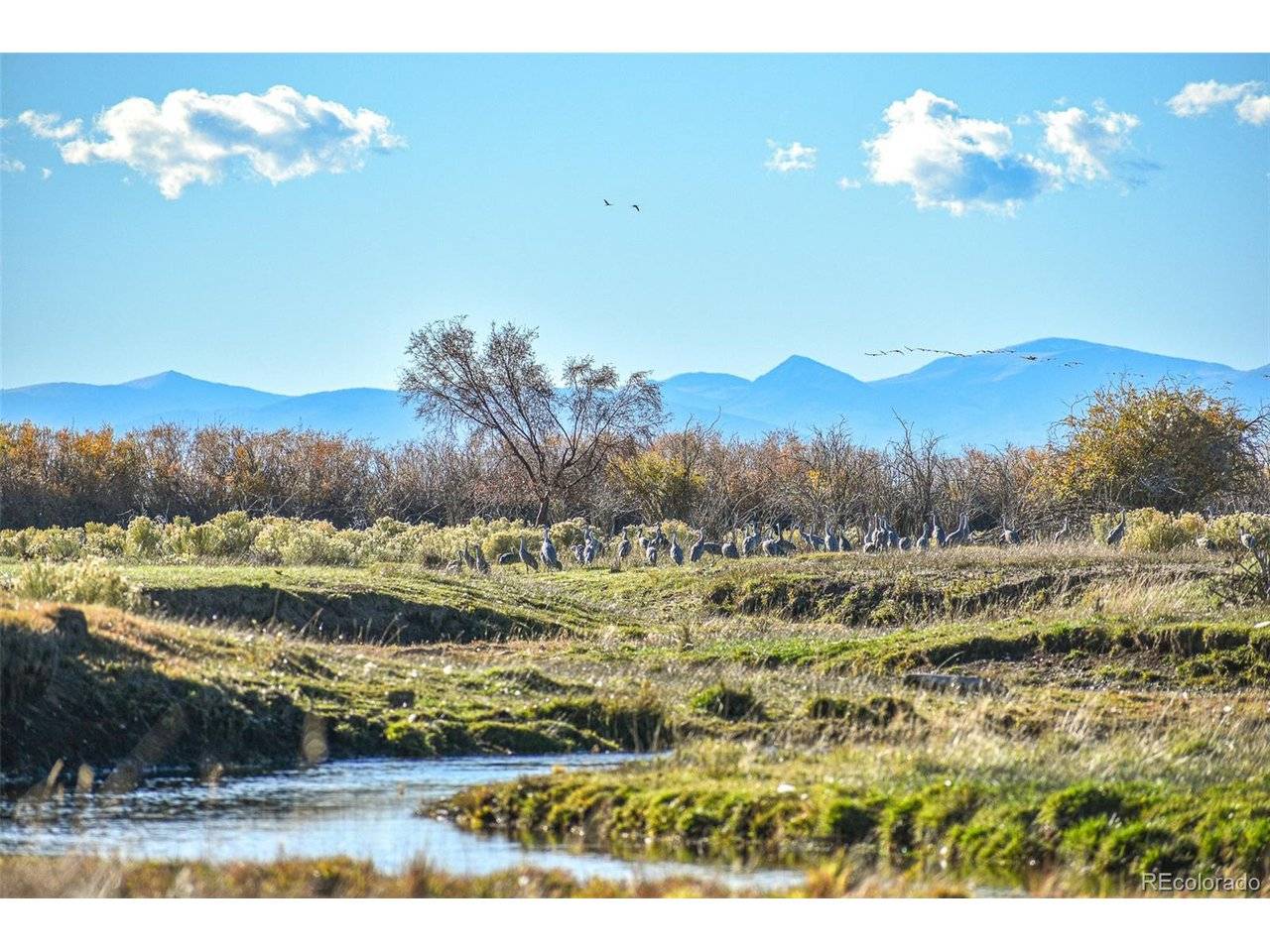 0 County Road 15.5, Blanca, CO 81123