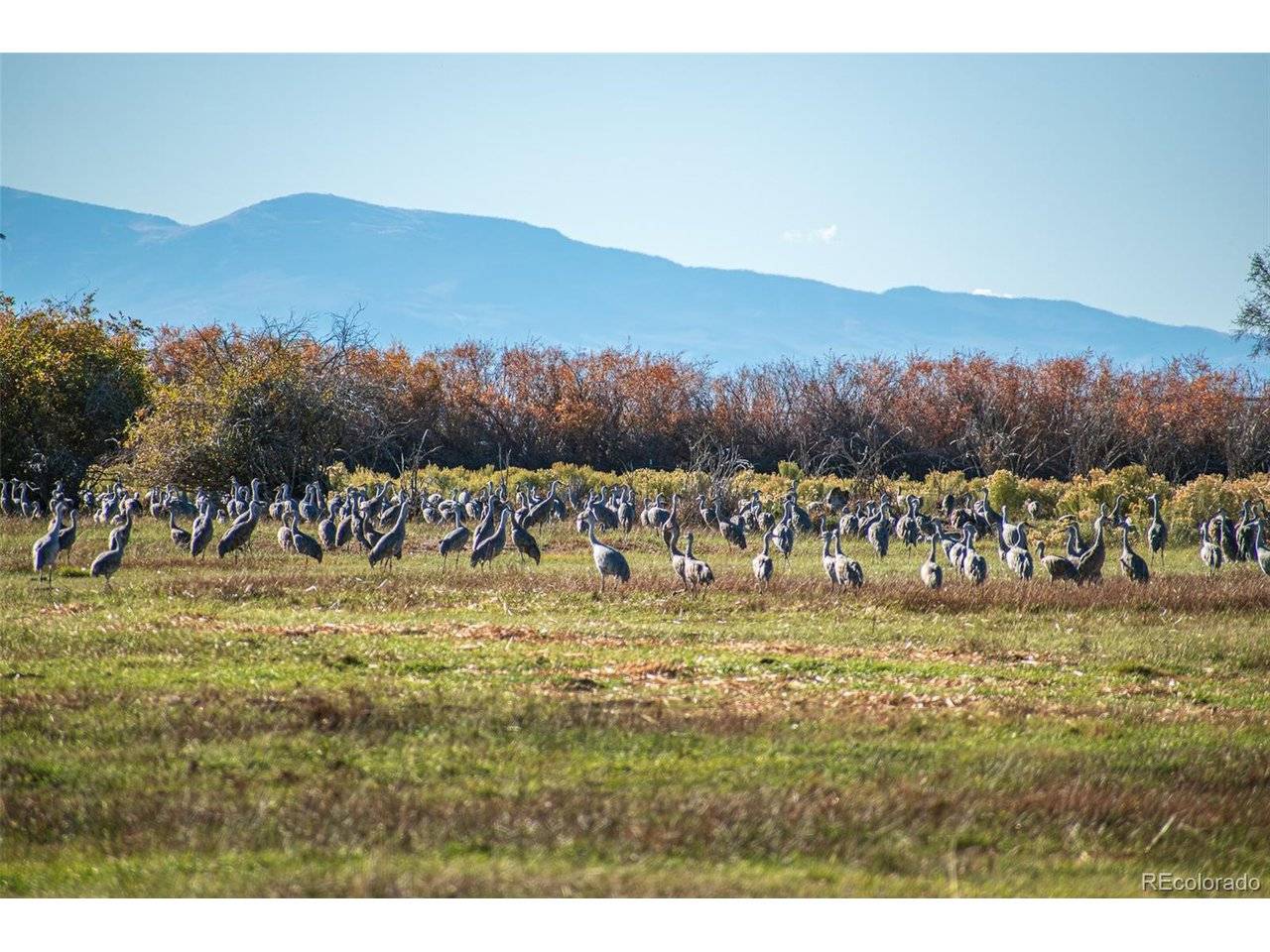 0 County Road 15.5, Blanca, CO 81123