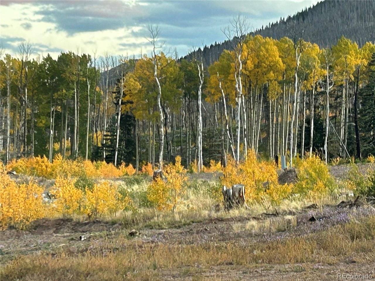 1944 Strauss, Fort Garland, CO 81133