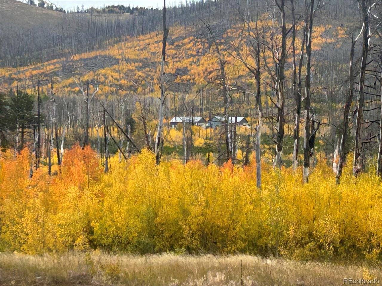 1944 Strauss, Fort Garland, CO 81133