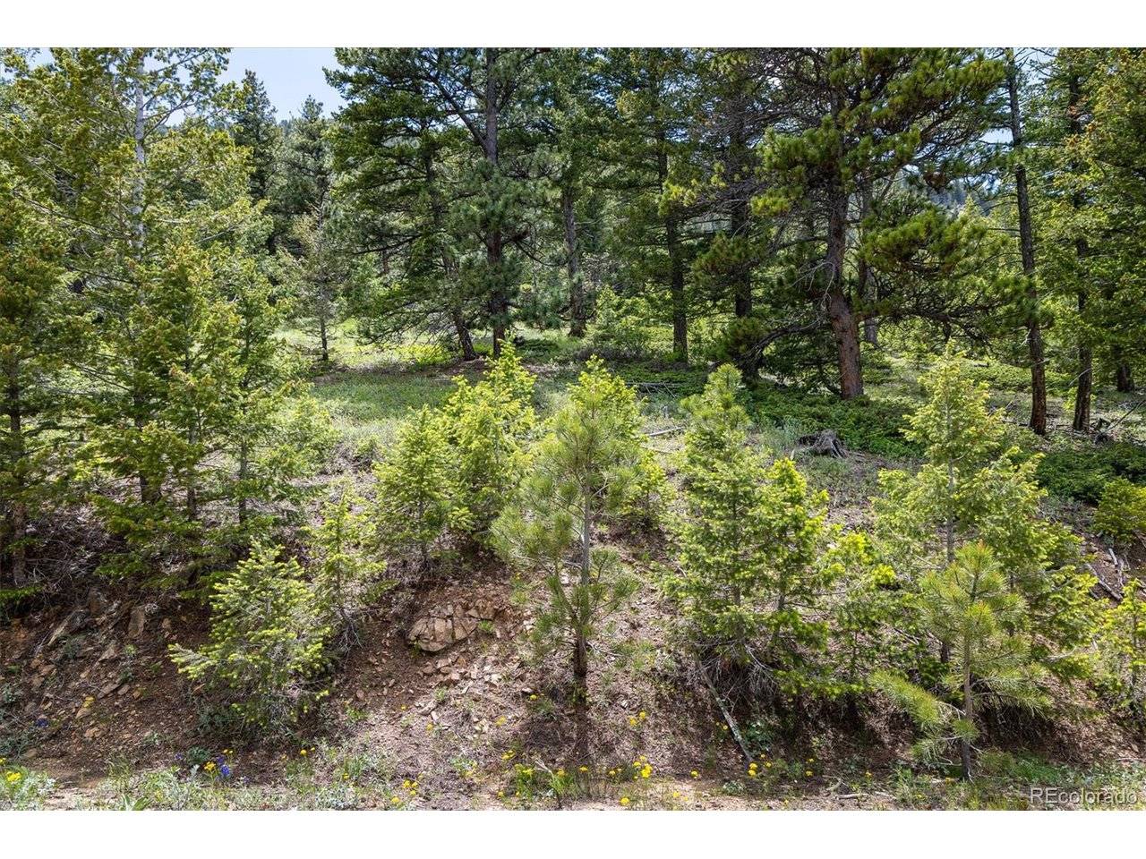 1259 Chute, Golden, CO 80403