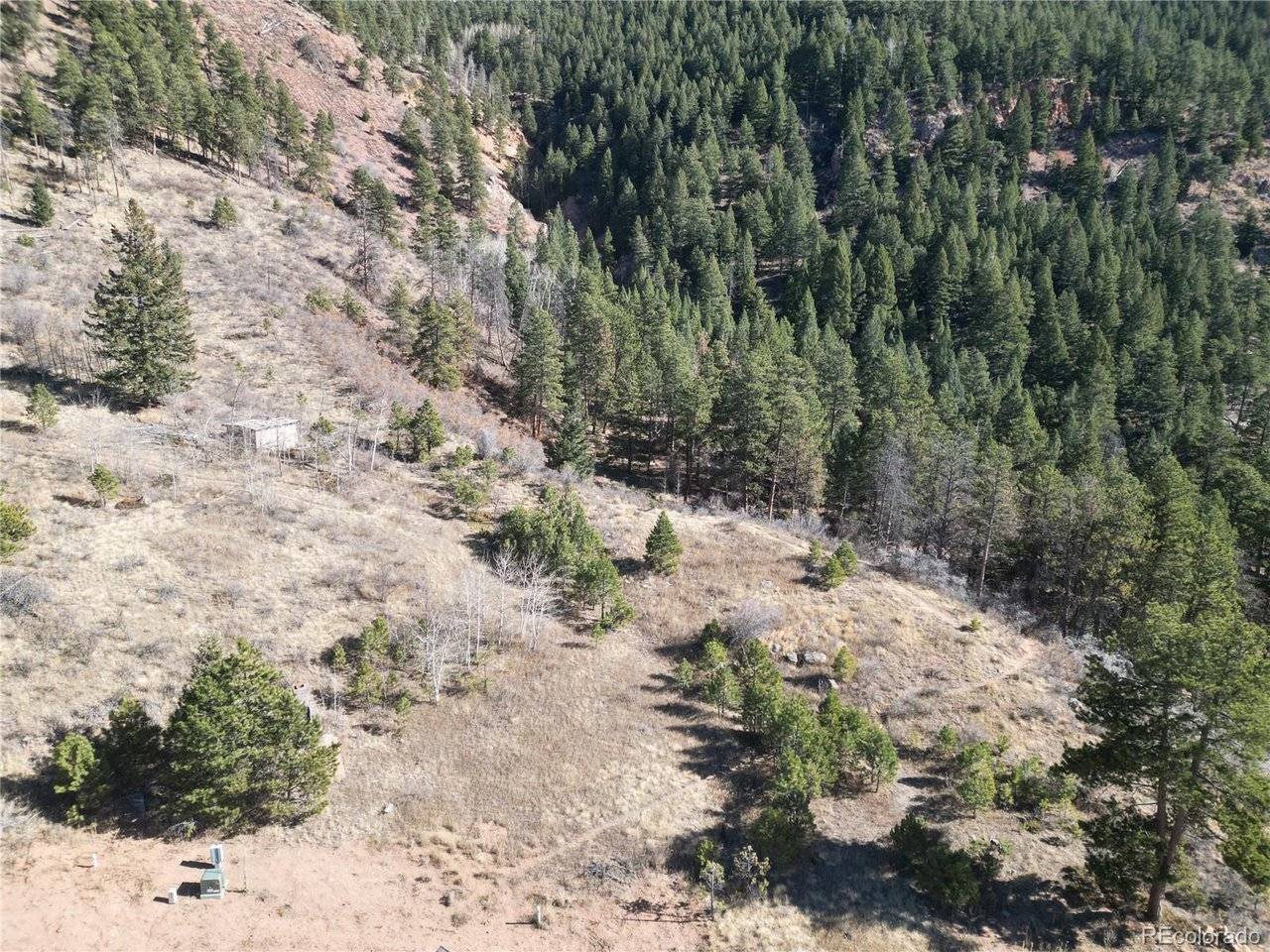 19 Blue Haven, Woodland Park, CO 80863