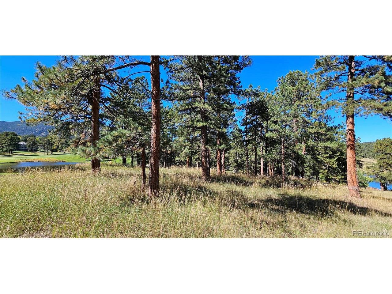 363 Interlocken, Evergreen, CO 80439