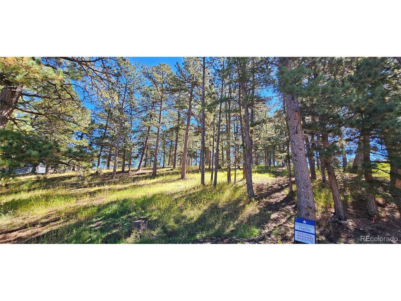 363 Interlocken, Evergreen, CO 80439