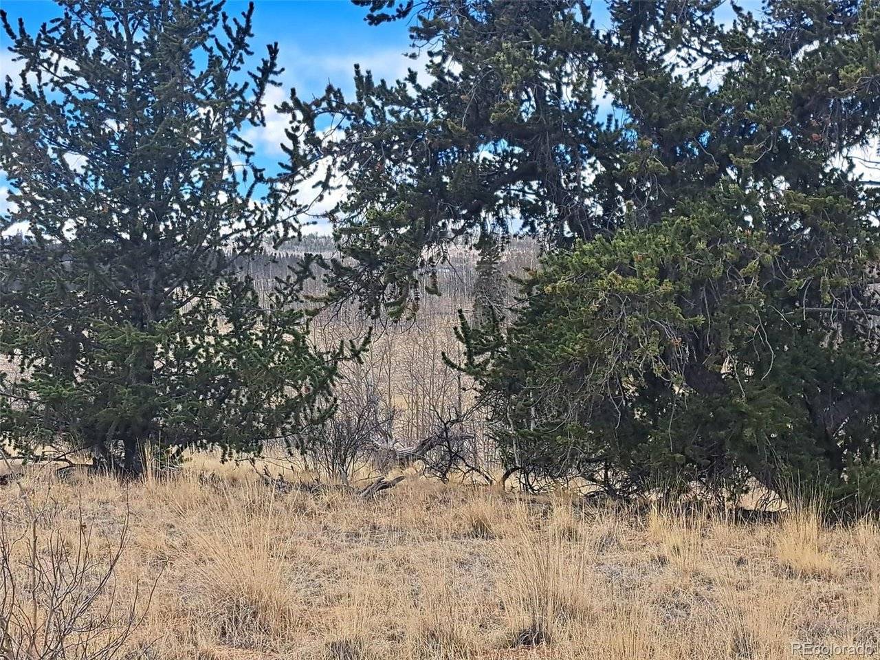 499 Kiowa, Como, CO 80432