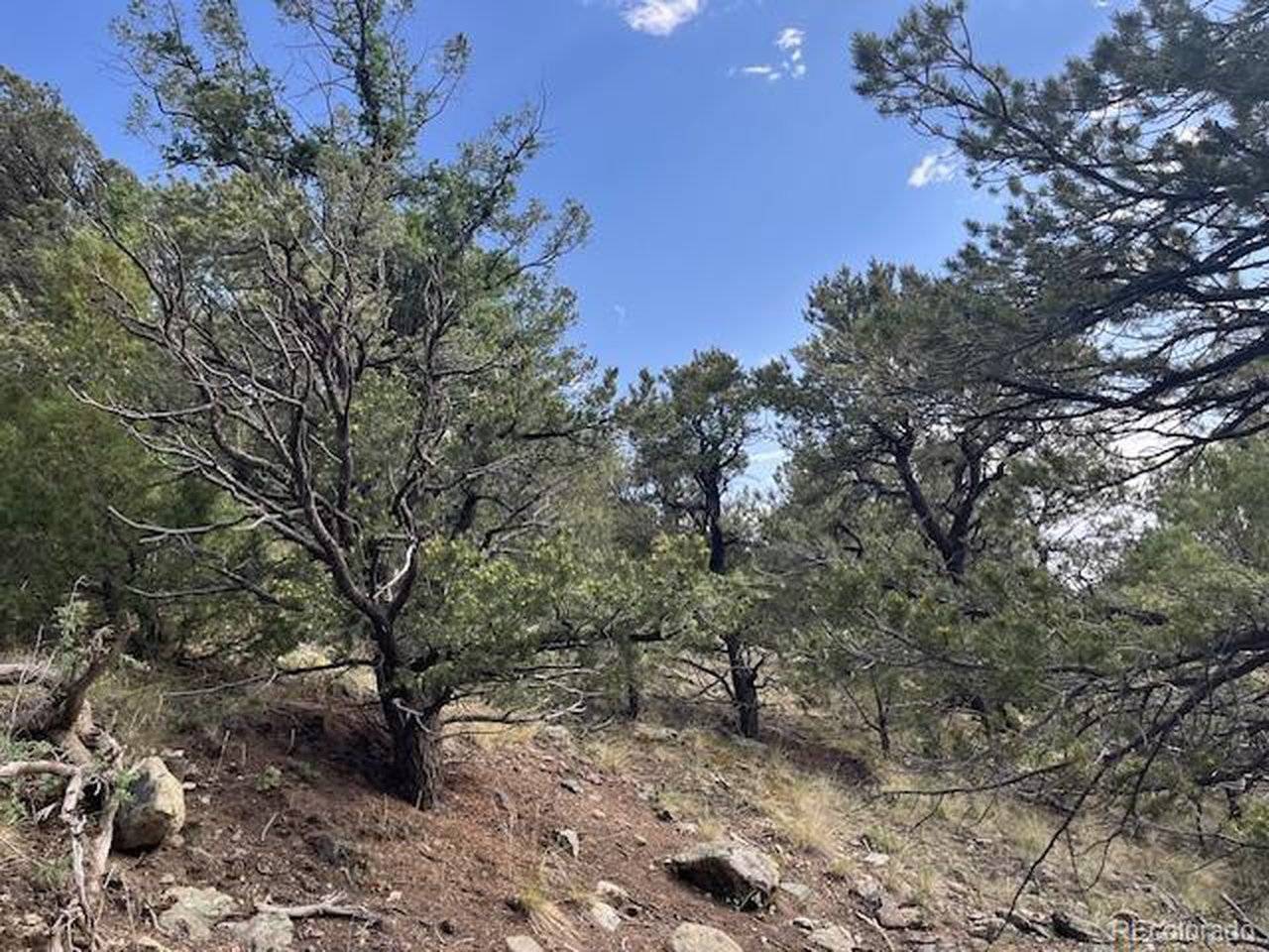 314 Arrastre, Mosca, CO 81146