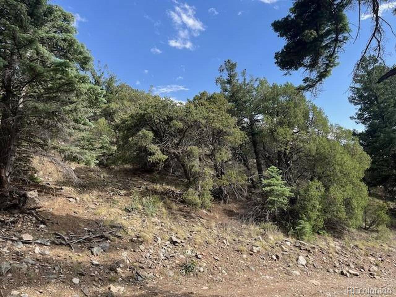 314 Arrastre, Mosca, CO 81146