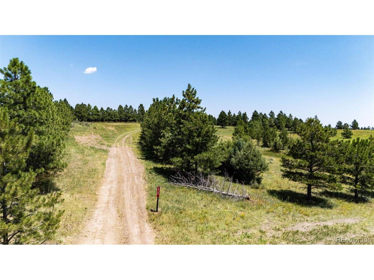 13123 Wilderness, Kiowa, CO 80117