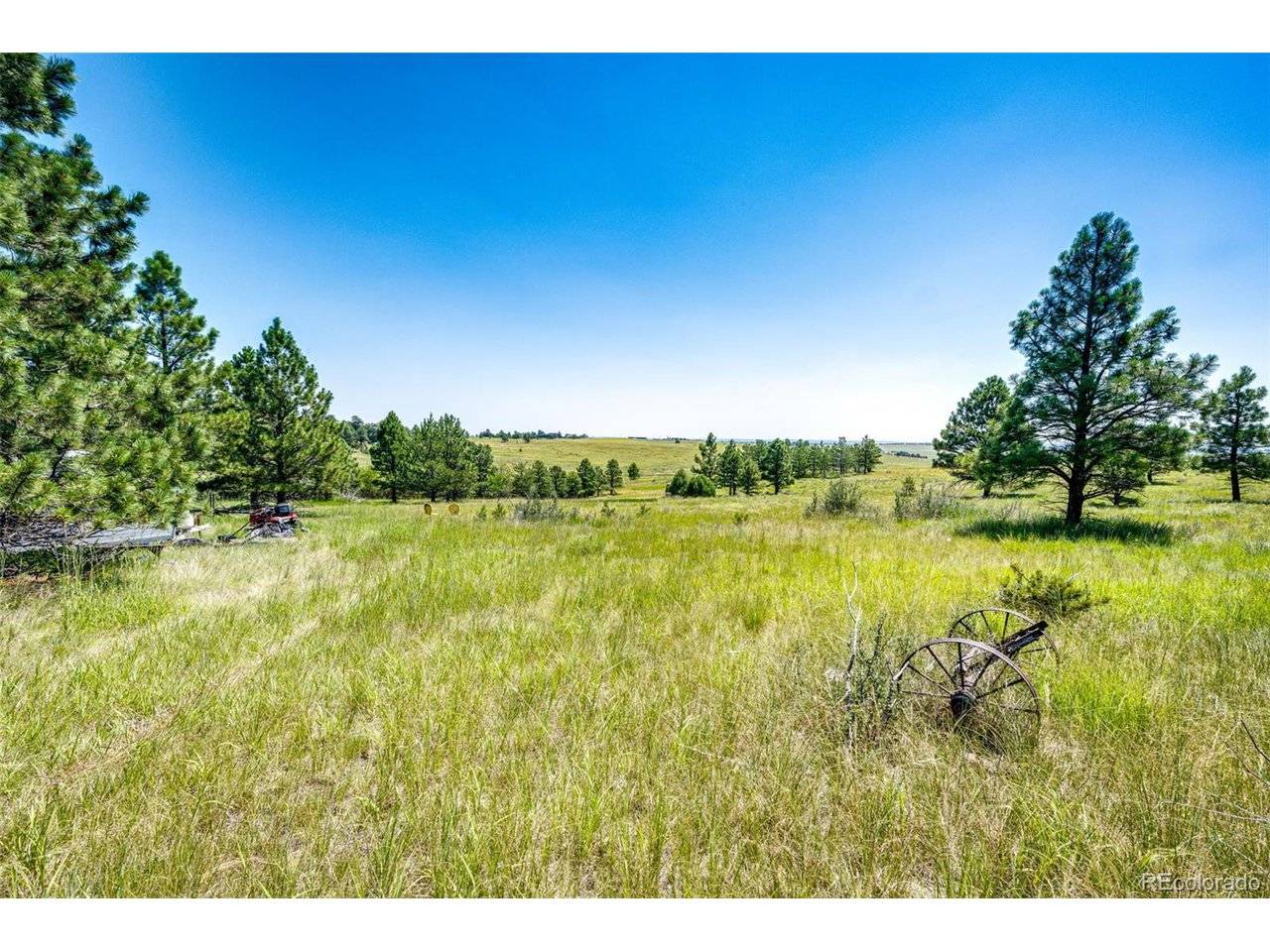 13123 Wilderness, Kiowa, CO 80117