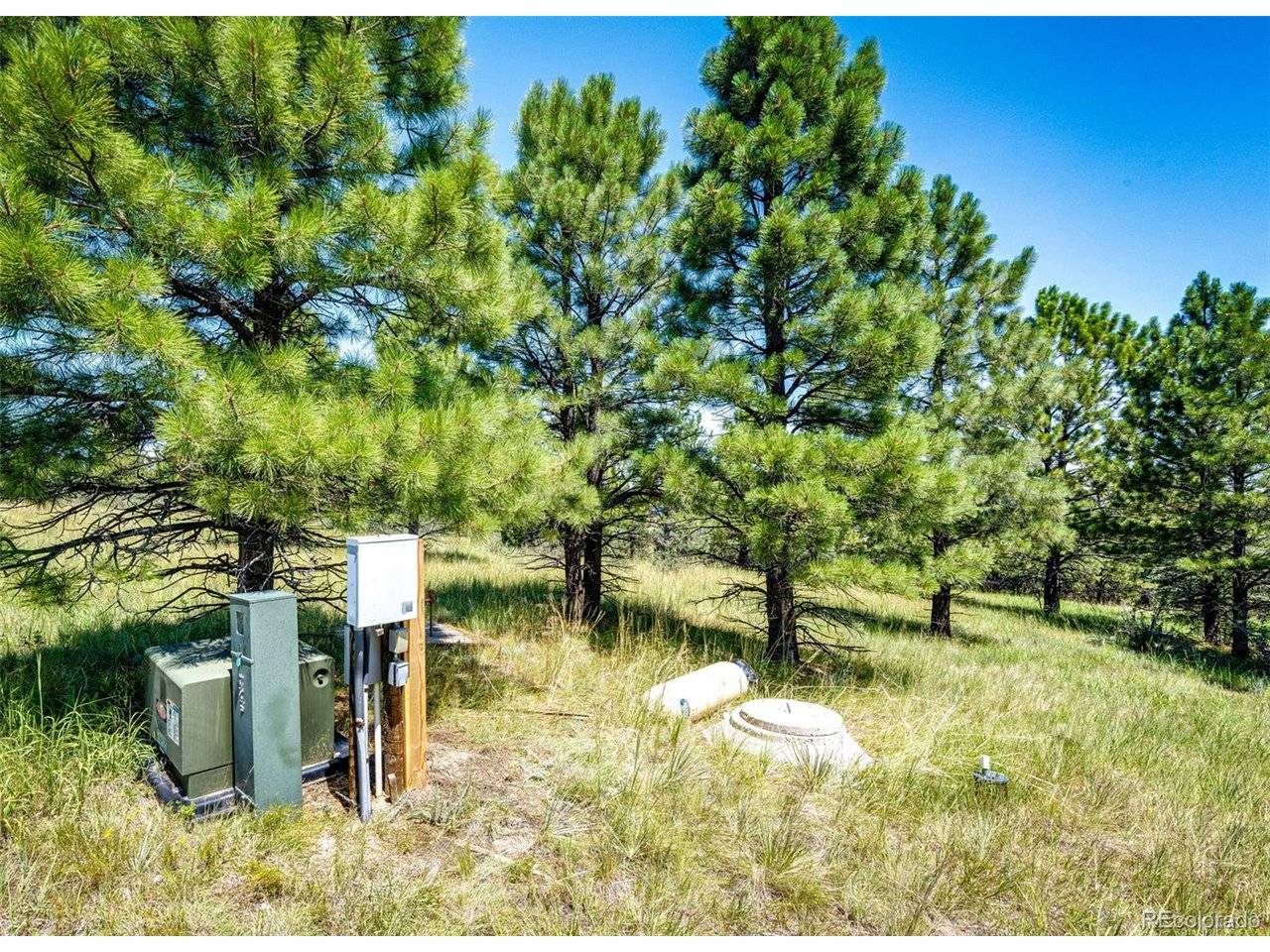13123 Wilderness, Kiowa, CO 80117