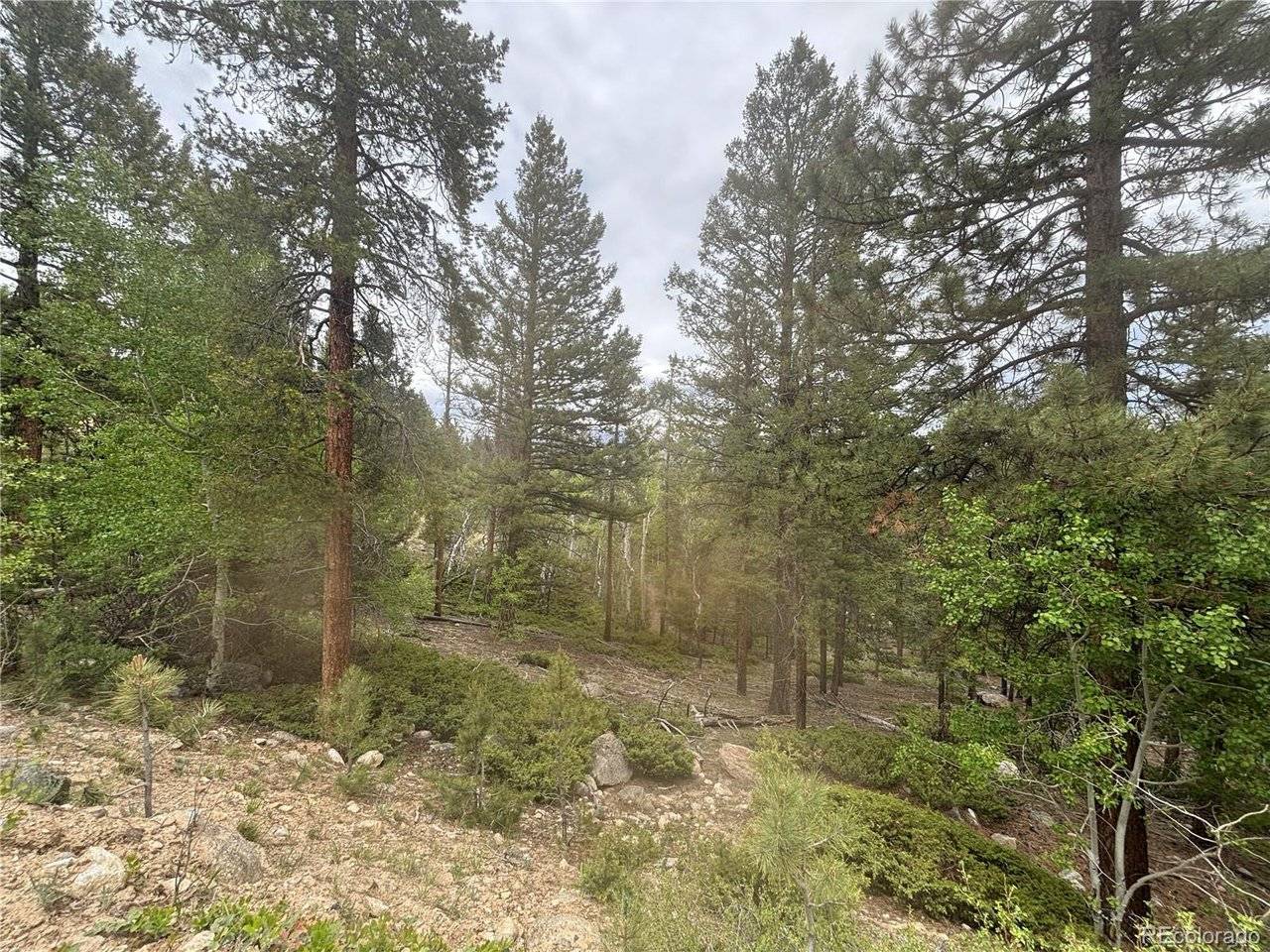 30304 Aspen Turn, Buena Vista, CO 81211