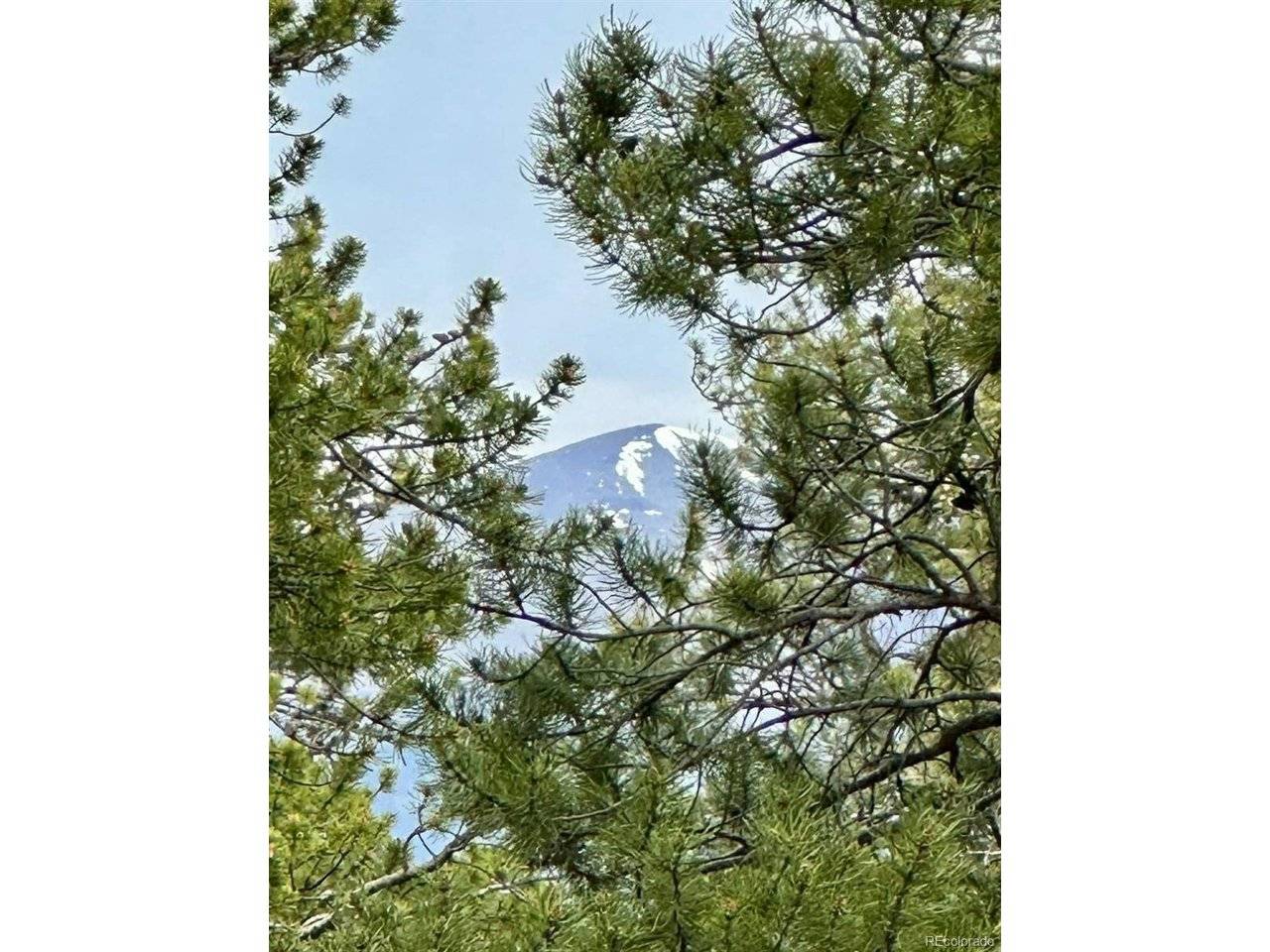 30304 Aspen Turn, Buena Vista, CO 81211