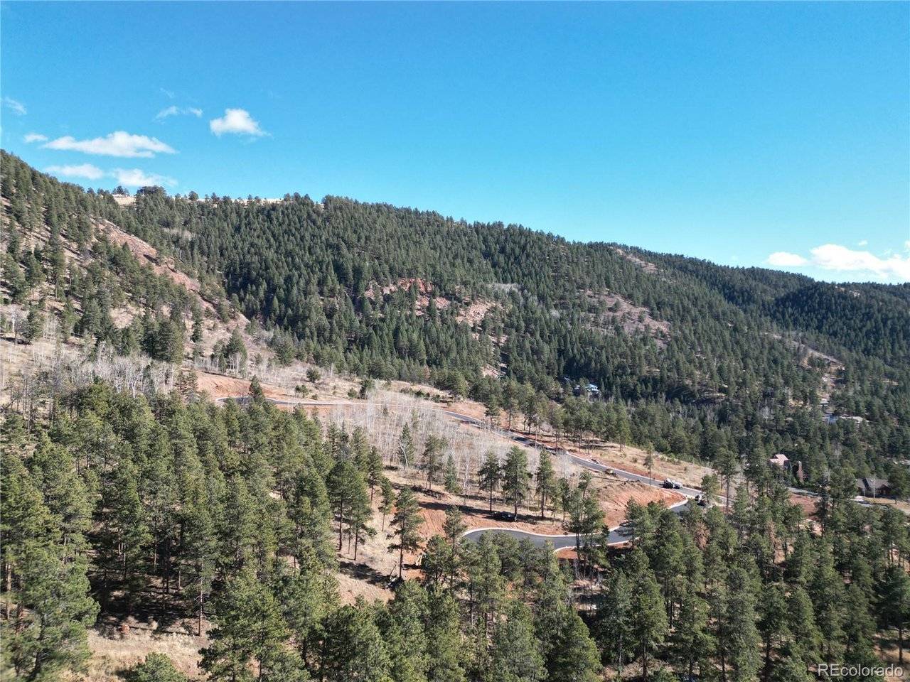 17 Blue Haven, Woodland Park, CO 80863