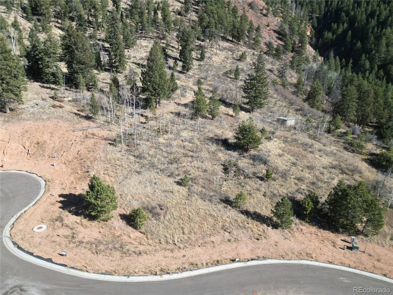 17 Blue Haven, Woodland Park, CO 80863