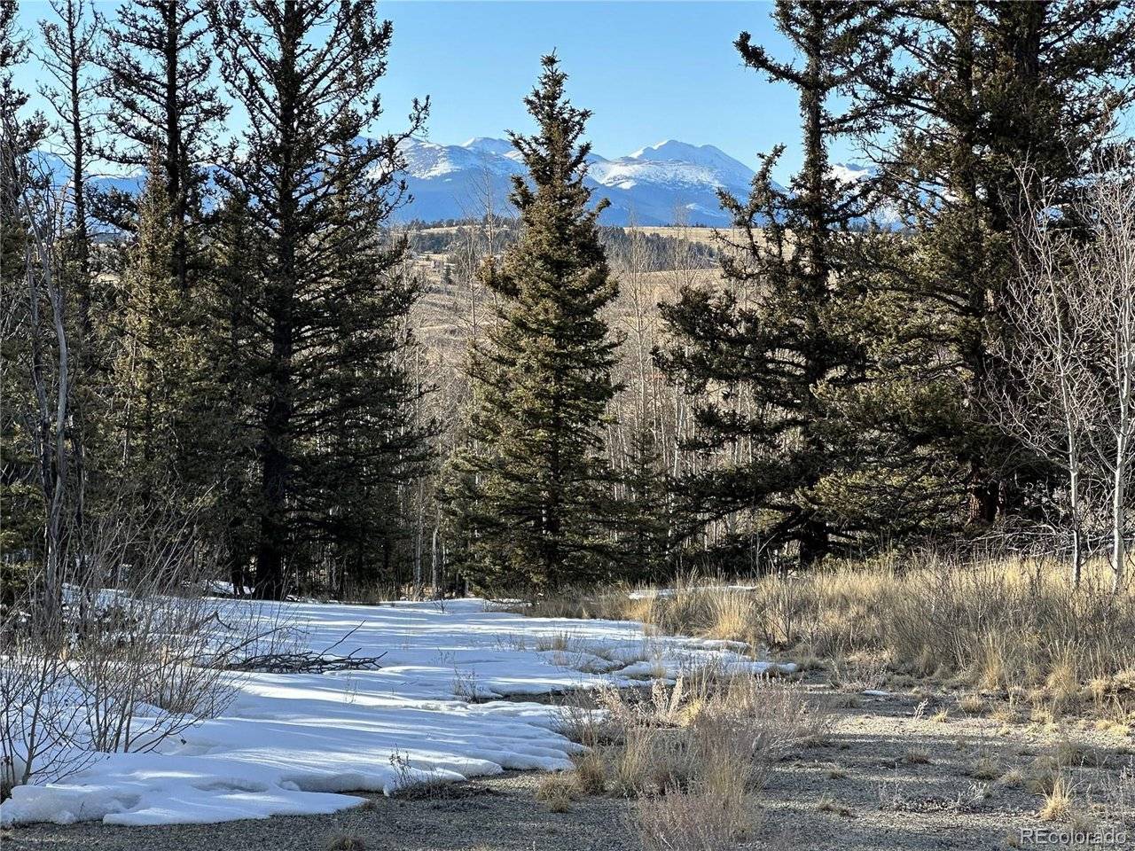 280 Welsh Cob, Jefferson, CO 80456