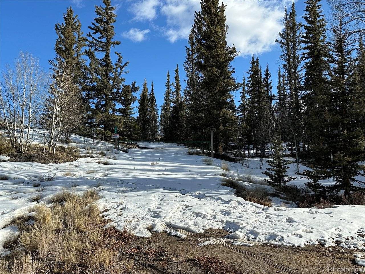 280 Welsh Cob, Jefferson, CO 80456