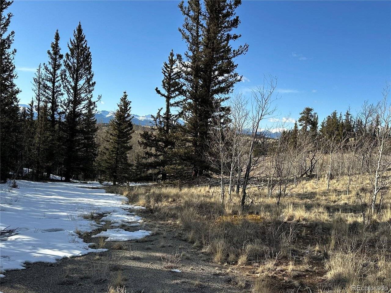 280 Welsh Cob, Jefferson, CO 80456